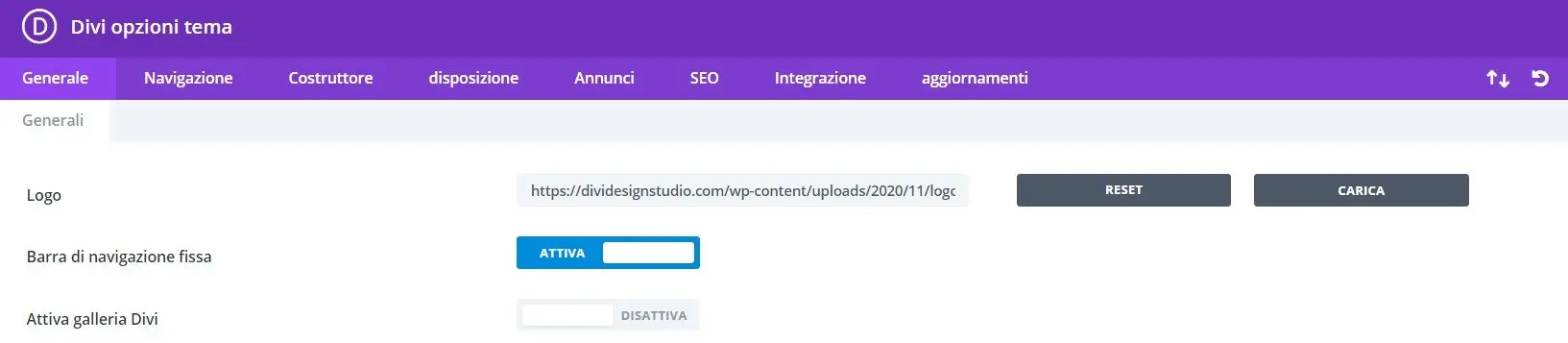 scheda opzioni tema scheda opzioni tema